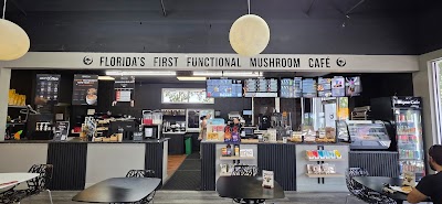 Eclipse Cafe